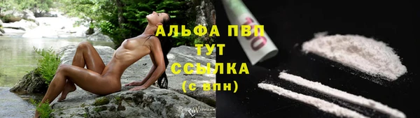 ПСИЛОЦИБИНОВЫЕ ГРИБЫ Нея
