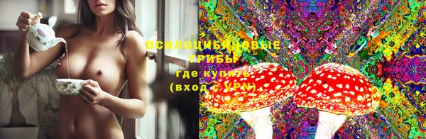 apvp Новозыбков